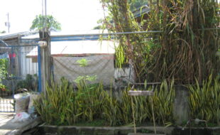 Foreclosed Properties Philippines Database 1 2710255 pic001