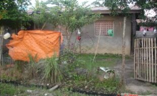 2710413 pic001