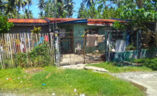 2710588 pic001