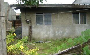 2710635 pic001