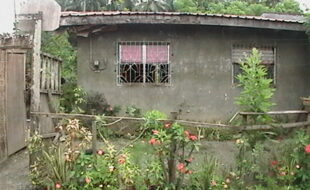 2710699 pic001