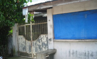 2713213 pic001