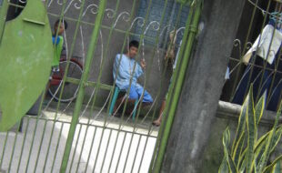 2713324 pic001