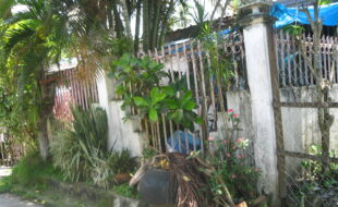 2713395 pic001