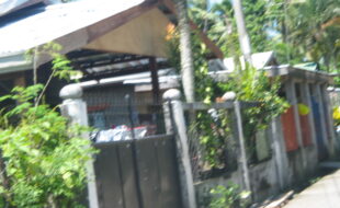 2713815 pic001