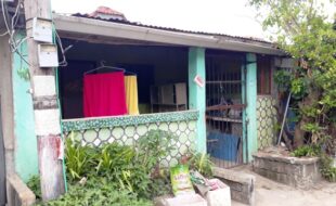 2719683 pic001