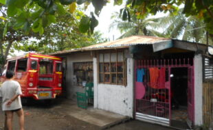 2723686 pic001