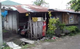 2723851 pic001