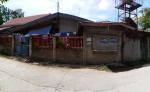 2726486 pic001