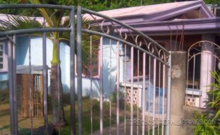 Foreclosed Properties Philippines Database 19 ย