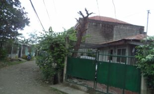 2730805 pic001