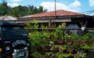 Foreclosed Properties Philippines Database 22 ยยยคยชยฐยถยผรรรรรร รฆรฌ