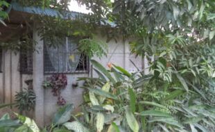 Foreclosed Properties Philippines Database 15 2738893 pic001