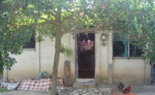 2739466 pic001