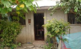 2739545 pic001