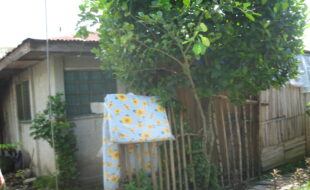 2744579 pic001