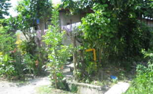 Foreclosed Properties Philippines Database 22 2744601 pic001