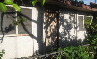 2745141 pic001