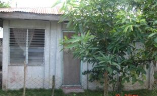 2748844 pic001
