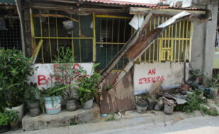 2751626 pic001