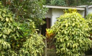 Foreclosed Properties Philippines Database 29 2768104 pic001