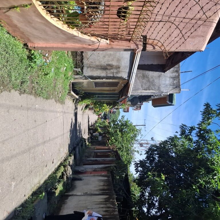2771534 pic002 rotated