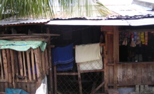 2789344 pic001