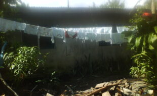 2812343 pic001