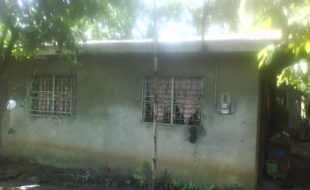 2812368 pic001