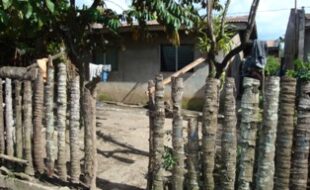 Foreclosed Properties Philippines Database 16 2812375 pic001
