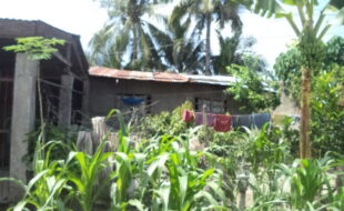 2812501 pic001