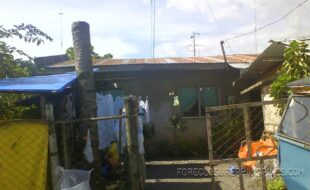 2819085 pic001