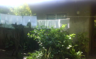 2819157 pic001