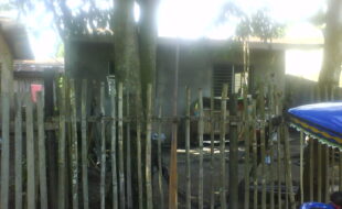 2819196 pic001