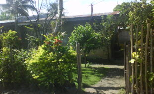 2819243 pic001