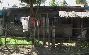 2830103 pic001