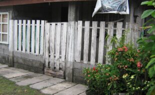 2837296 pic001