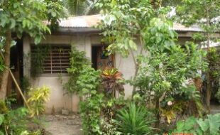 2848246 pic001