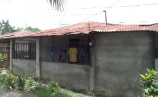 2856886 pic001
