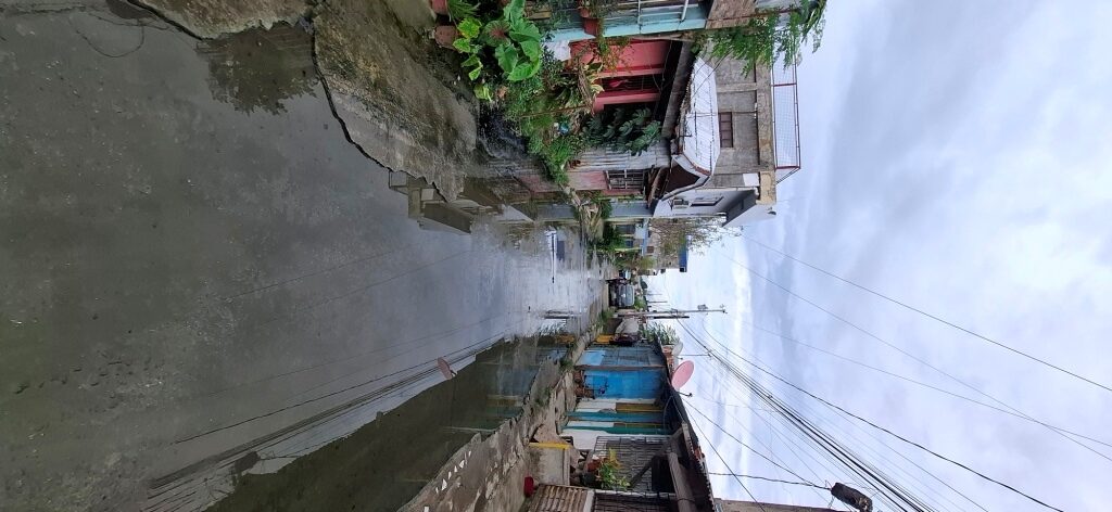 2875186 pic002 rotated