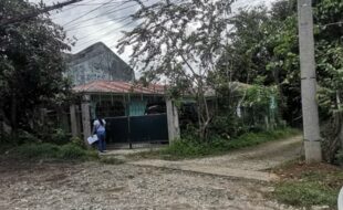 2882305 pic001