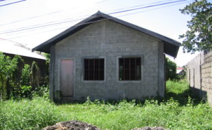 2892026 pic001