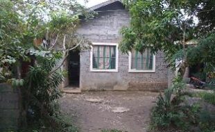 2913987 pic001