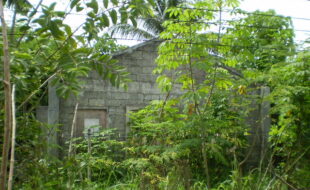 Foreclosed Properties Philippines Database 14 OLYMPUS DIGITAL CAMERA