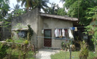 2948042 pic001