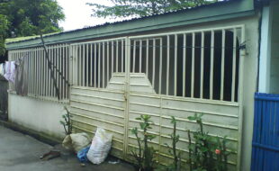 3106432 pic001