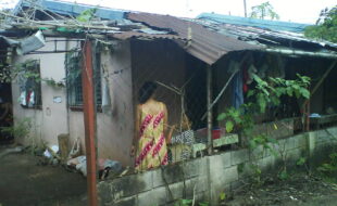 3106686 pic001