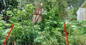 EastWest Bank Foreclosed Vacant Lot at Lot 46 Block 6 Phase 1