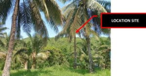 EastWest Bank Foreclosed Agricultural Lot at Lot 2476