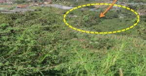 EastWest Bank Foreclosed Residential Lot at Along Cor. Subd. 315M